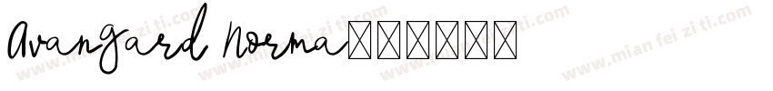 Avangard Norma字体转换